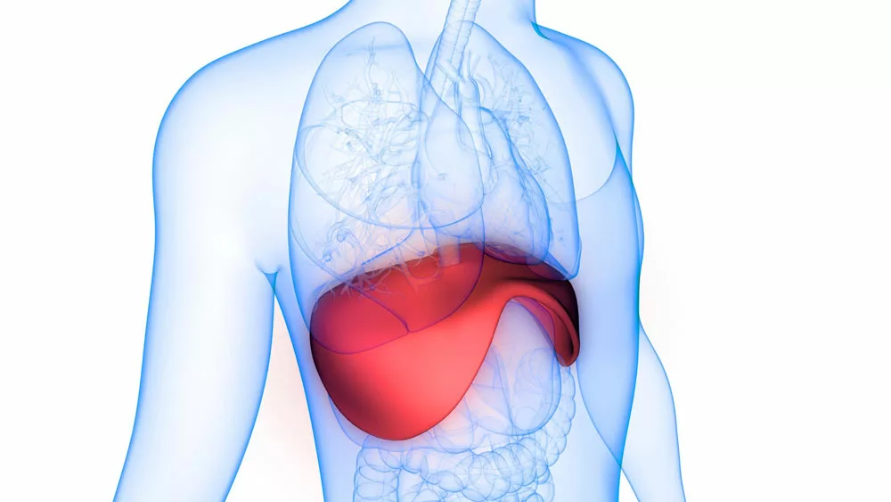 La respiración diafragmática ayuda a la panza plana