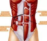 Ejercicios para eliminar la barriga: los más efectivos